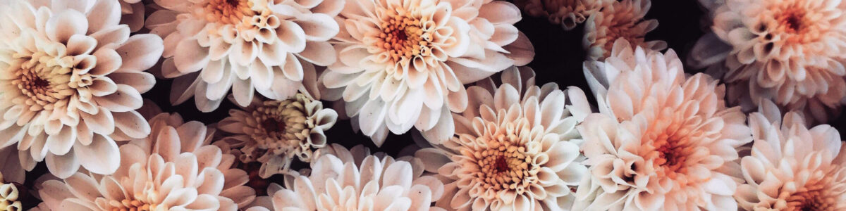 commiatoLaico_fiori3 commiatoLaico_fiori3